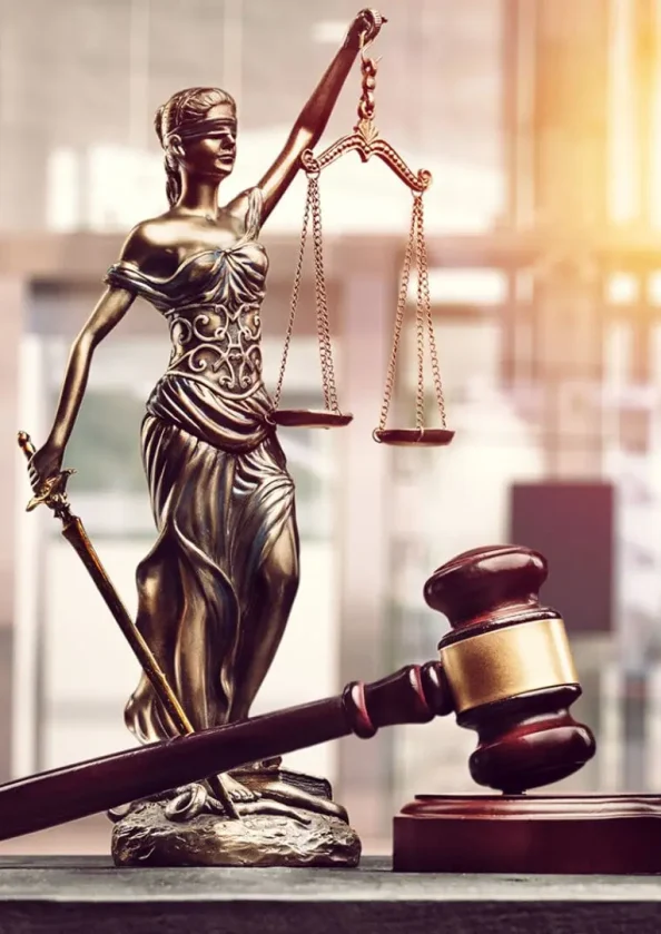 CONTACT LITMUS SUPPORT visual data 2